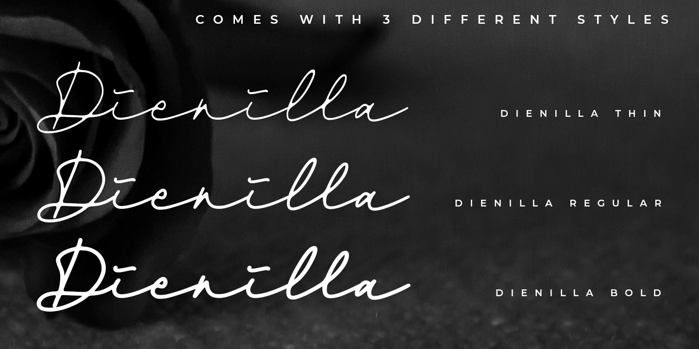 Dienilla